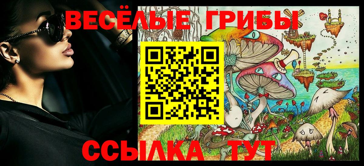 Галлюциногенные грибы Magic Shrooms  Вход с VPN  Галлюциногенные грибы Psilocybine cubensis  Грозный 
